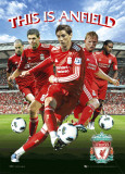 Liverpool - Players 10/11 Affiches