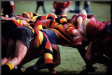 Group Effort: Rugby Mounted Print