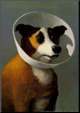 Filmhound Mounted Print by Michael Sowa