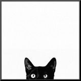 Curiosity Mounted Print by Jon Bertelli