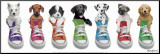 Sneaker Pup Line-Up Mounted Print by Keith Kimberlin