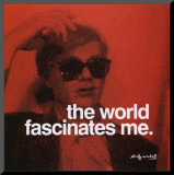 The World Mounted Print by Andy Warhol