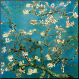 Almond Branches in Bloom, San Remy, c.1890 Mounted Print by Vincent van Gogh