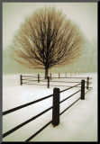 Solitude Mounted Print by David Winston