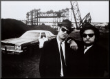 Blues Brothers Mounted Print