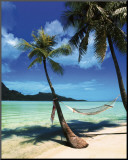 Relax Mounted Print by Randy Faris