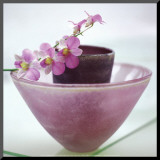 Orchids Mounted Print by H. Orth