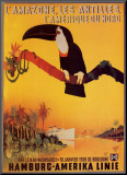 L'Amazone les Antilles Mounted Print by Peter Fussey