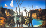 Reflections of Elephants Mounted Print by Salvador Dalí