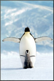 Penguin and Chick Mounted Print by Charles Prendergast