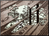 Puddle Mounted Print by M. C. Escher