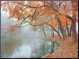 Autumn Reflections Mounted Print by Mike Jones