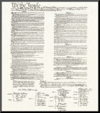 Constitution Mounted Print