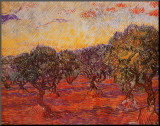 The Olive Grove, c.1889 Mounted Print by Vincent van Gogh