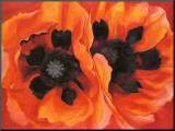 Oriental Poppies, 1928 Mounted Print by Georgia O'Keeffe