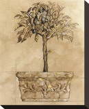 Victorian Topiary Stretched Canvas Print by Pyper Morgan