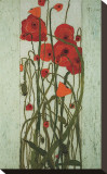 Poppy Garden Reproduction transférée sur toile par Karen Tusinski