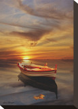Strange Stillness II Stretched Canvas Print by Carlos Casamayor