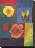 Serendipity Stretched Canvas Print by Dominique Gaudin