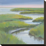 Winding Everglade Stretched Canvas Print by Don Almquist