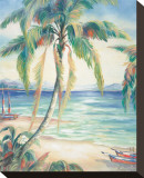 Tropical Breeze II Stretched Canvas Print by Alexa Kelemen