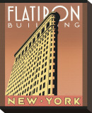 Flatiron Building Stretched Canvas Print by Brian James