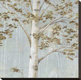 Birch Study II Stretched Canvas Print by Daphne Brissonnet Birch Study II Stretched Canvas Print by Daphne Brissonnet