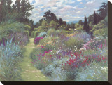 May Garden Stretched Canvas Print by Allan Myndzak