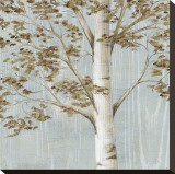 Birch Study I Stretched Canvas Print by Daphne Brissonnet Birch Study I Stretched Canvas Print by Daphne Brissonnet