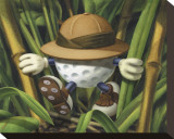 Lost Ball Stretched Canvas Print by Bob Commander