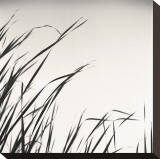 Beaver Pond, Study, no. 1 Stretched Canvas Print by Andrew Ren