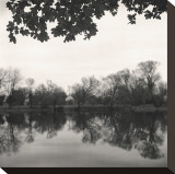 Rideau River, Study, no. 2 Stretched Canvas Print by Andrew Ren