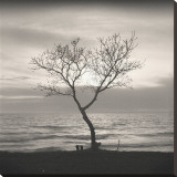 Tree, Study, no. 5 Stretched Canvas Print by Andrew Ren
