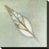 Neptune's Garden II Stretched Canvas Print by Bert Myers