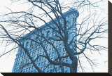 Blue Flatiron Stretched Canvas Print by Erin Clark