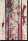 Rust Textures Stretched Canvas Print by Erin Clark