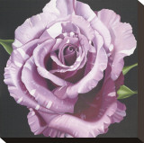 Rosa Leinwand von Elizabeth Hellman