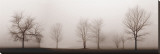 Misty Meadow Stretched Canvas Print by Erin Clark