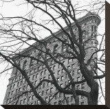 Flatiron with Tree (detail) Stretched Canvas Print by Erin Clark