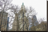Woolworth Building from City Hall Park Stretched Canvas Print by Erin Clark