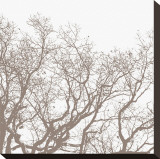 Majesty II Stretched Canvas Print by Erin Clark