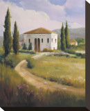 Tuscany Afternoon Stretched Canvas Print by Hawley 