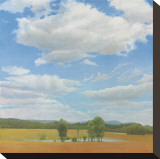 Schoharie Stretched Canvas Print by Elissa Gore