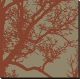 Cinnamon Tree IV Stretched Canvas Print by Erin Clark Cinnamon Tree IV Stretched Canvas Print by Erin Clark