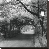 Central Park Pergola Stretched Canvas Print by Erin Clark