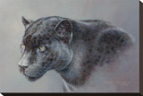 Shadow Hunter Stretched Canvas Print by Kalon Baughan