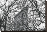 Veiled Flatiron Building Stretched Canvas Print by Erin Clark
