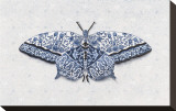 All a Flutter Stretched Canvas Print by Jennifer Brice