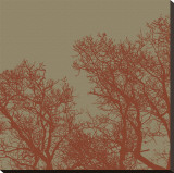 Cinnamon Tree I Stretched Canvas Print by Erin Clark Cinnamon Tree I Stretched Canvas Print by Erin Clark