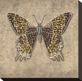 Leopard Butterfly Stretched Canvas Print by Jennifer Brice